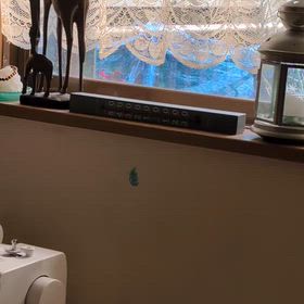 おしゃべりなヒヨちゃんの画像