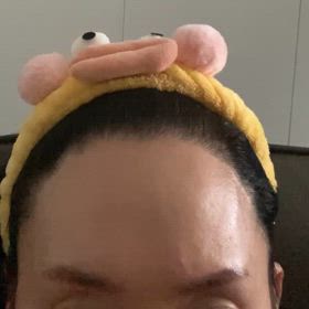 韓国植毛の画像