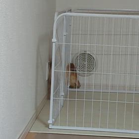 方向転換の画像