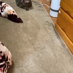 R7.12.16 歩行様子の画像