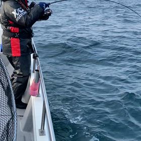 24日動画集の画像