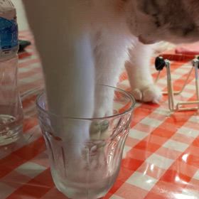 水遊びの画像