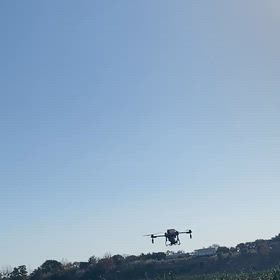 2026・1・14の画像