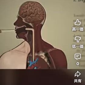 断食の力　Secrets_of_civilizations/1268の画像