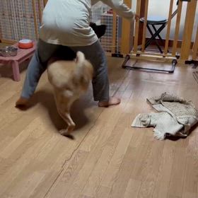 覚えたもんなの画像