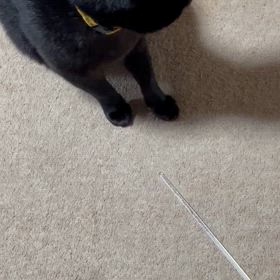 のんびりじじもん⬛の画像