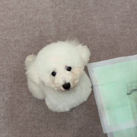 今日のニコ♪動画の画像