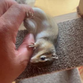 さあ、やるかの画像