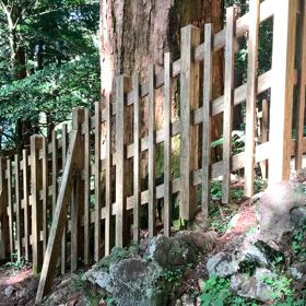 KIN156    黄色い戦士　黄色い種　音13の画像