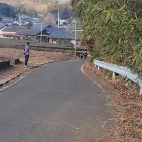 坂ダッシュ（コース前半）①の画像