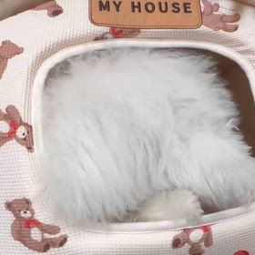 個性を大切に生きよう！の画像