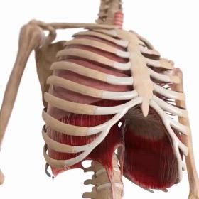 深呼吸を行いましょうの画像