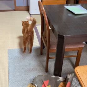 2024/03/23今週のハナの画像