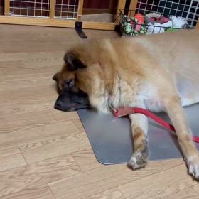 インスタでは可愛く編集の画像