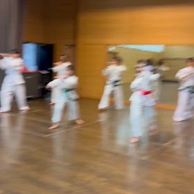 2/8わらび道場成年稽古動画の画像