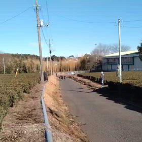 東金子駅伝（坂ダッシュ）⑱の画像