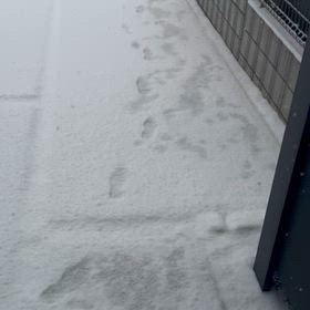 雪の画像