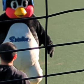 昨日の動画の画像