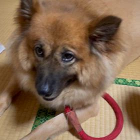 具合が悪いのは知っとるの画像