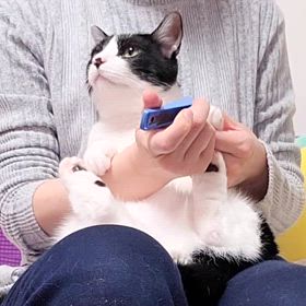 お利口さんの画像