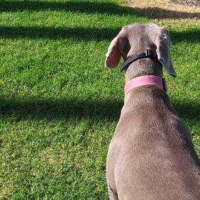 今週の営みの画像