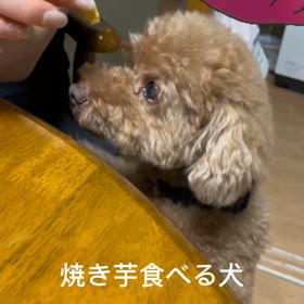 焼き芋大好きの画像