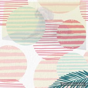 DOGXDOG ティムちゃんの画像