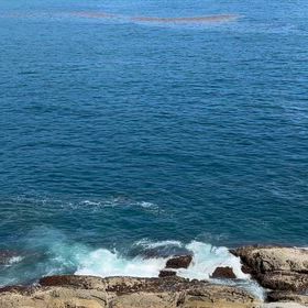 一枚　シリーズの画像