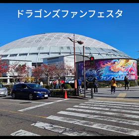 ドラゴンズファンフェスタの画像