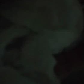 家の中にホタルが居た！の画像