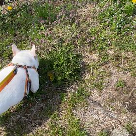 脳障害のはじめくんの画像