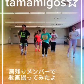 たまには動画をの画像