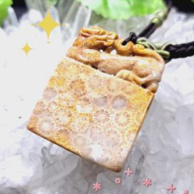 ✨珊瑚の化石ヒキュウPT✨の画像