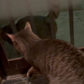 あそぼうの画像