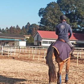 ゴッチのマッサージ：その２の画像