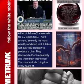 アドレノクロム　secret_history2/3128の画像