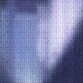 洗車始めたら、観察開始！の画像