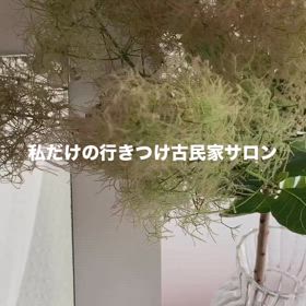 【不調も整いながら痩せれるダイエット】身体リセットできていますか？の画像