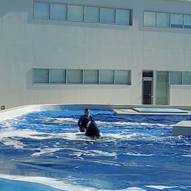 お天気も最高での画像