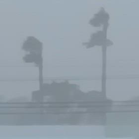 いきなり台風の画像