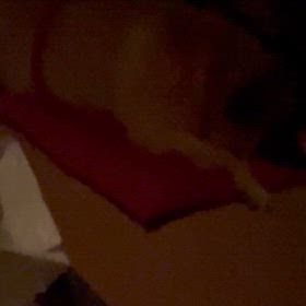 マロさん、分かっとるなの画像