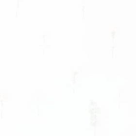 PR動画を作ってみました⭐️の画像