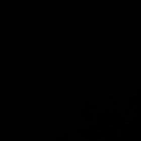 ドライフラワーの画像