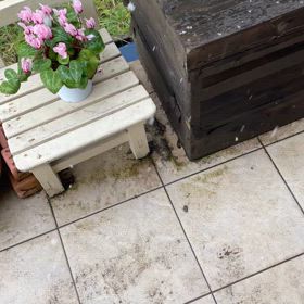 えー雪？の画像