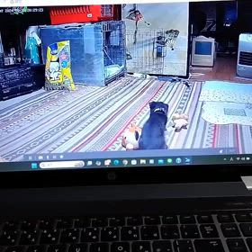 2024/10/30の画像