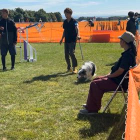 今日のジャムの画像