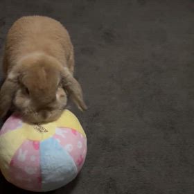 初投稿 !の画像