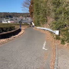 東金子駅伝（坂ダッシュ）⑫の画像