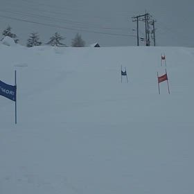 2月19日大鰐パラダイスの画像