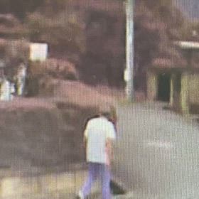 そこまでしても投棄！Σ('◉⌓◉’)の画像